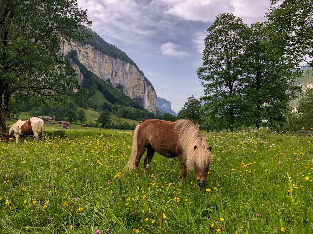 16 Amazing Things To Do In Lauterbrunnen Switzerland | CarpeDiemEire